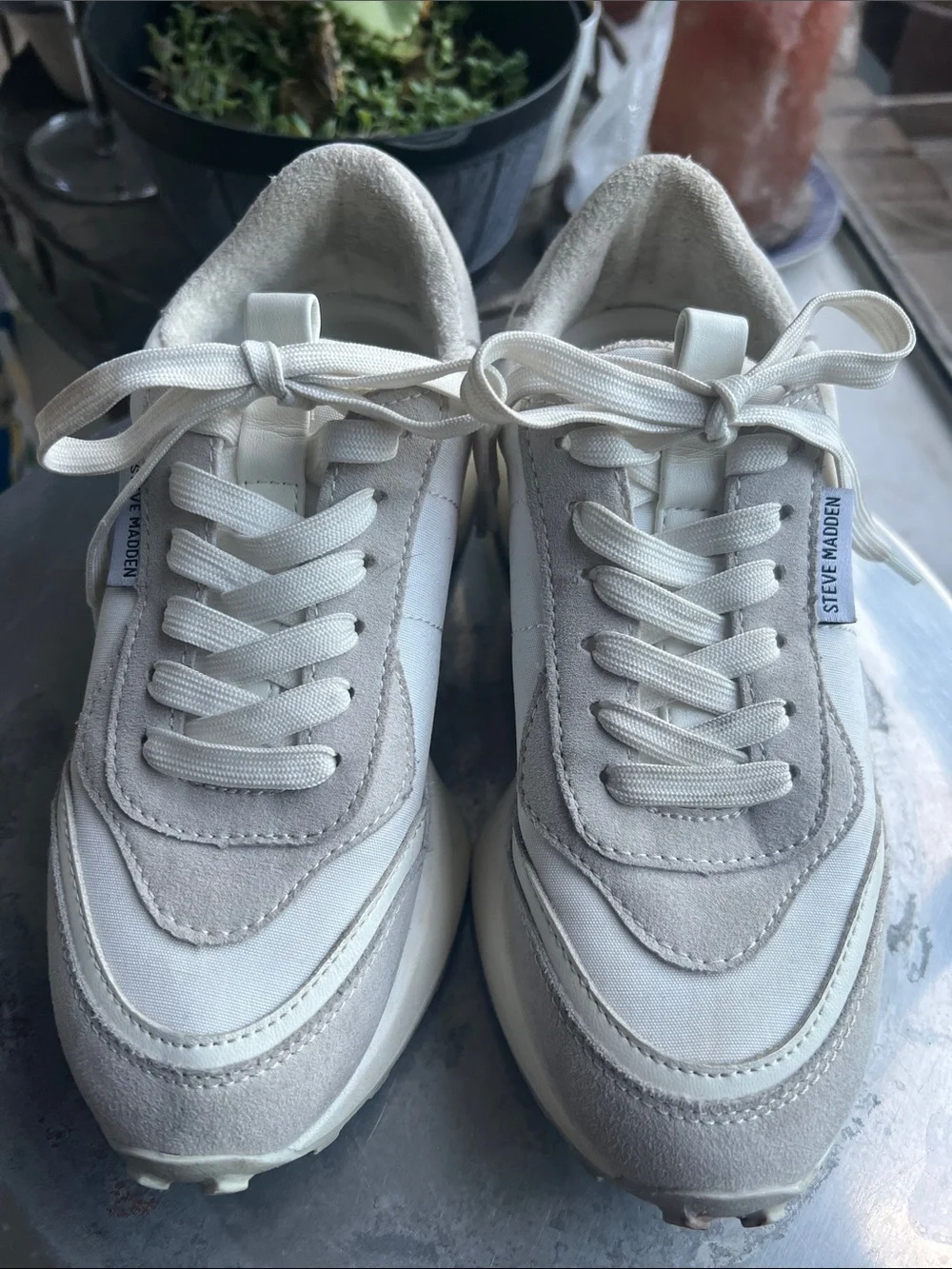 Steve Madden Diversion sneaker